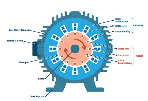Figure 2. Composition of Motor Stator and Rotor